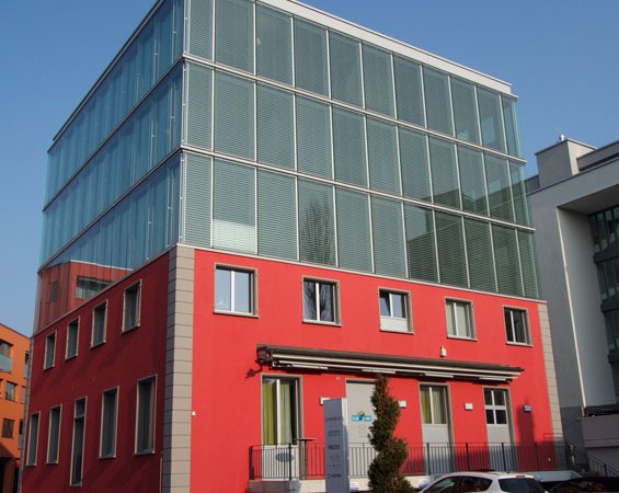 STS Immobilien AG - Gipsergeschäft Frank Buchser