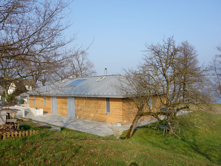 Gipserarbeiten gipser buchser